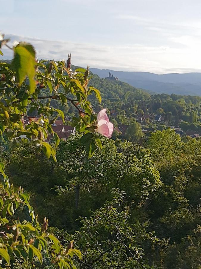 Ferienhaus Paulina Villa Wernigerode Luaran gambar